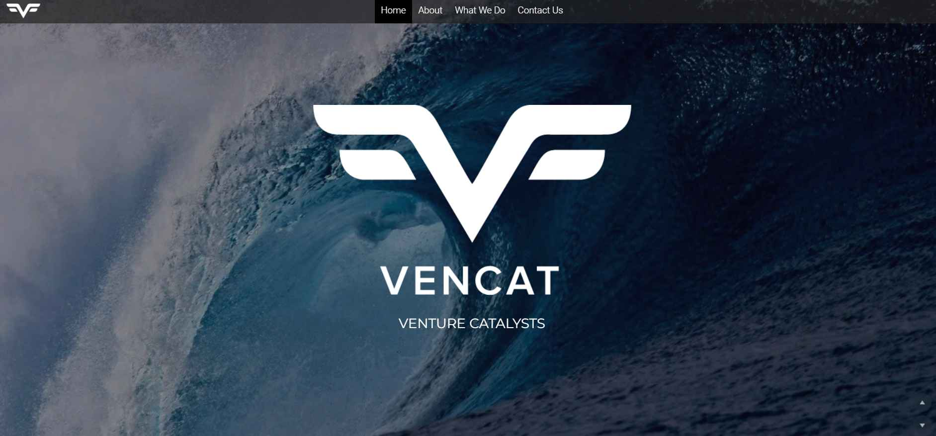 vencat-seo-services vencat-seo-services